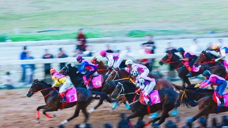 高质量发展这五年 | “一匹马”赛出旅游新天地(图13) 高质量发展这五年 | “一匹马”赛出旅游新天地(图13)