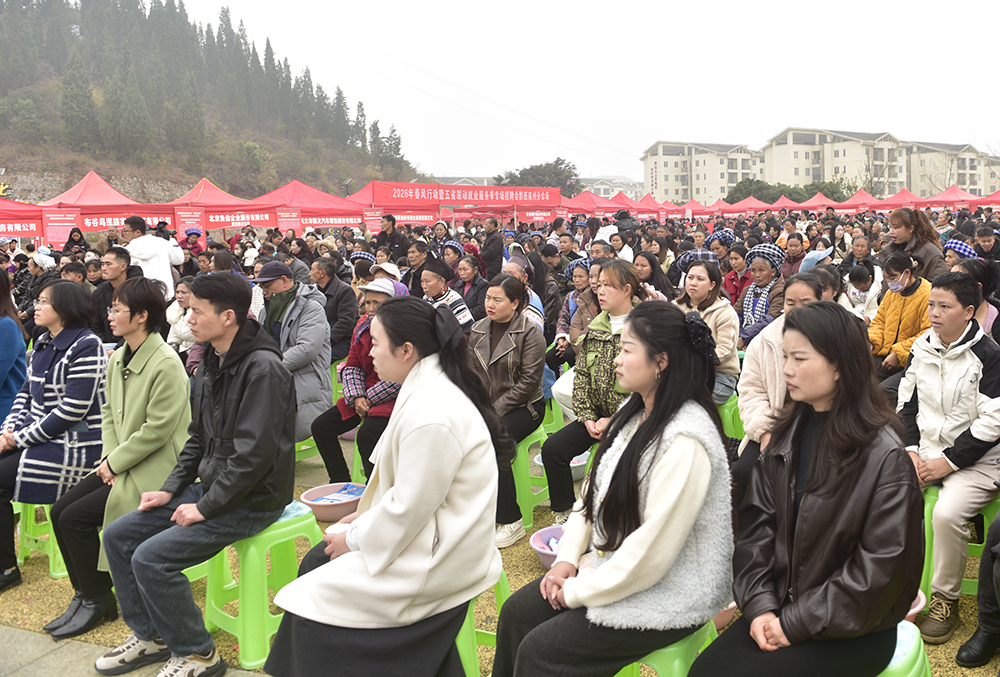 黔西南州2026年“春风行动”暨就业服务季活动启动(图2)