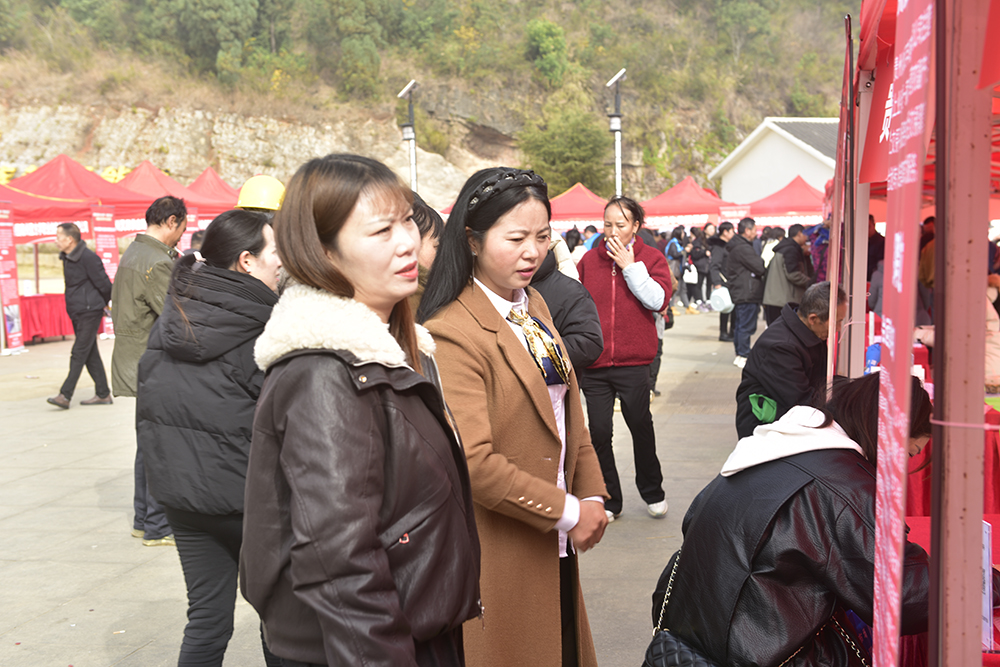 黔西南：“春风行动”送岗暖民心 精准服务促就业(图5)