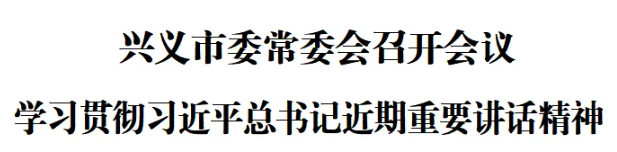 兴义市委常委会召开会议 学习贯彻习近平总书记近期重要讲话精神(图1)