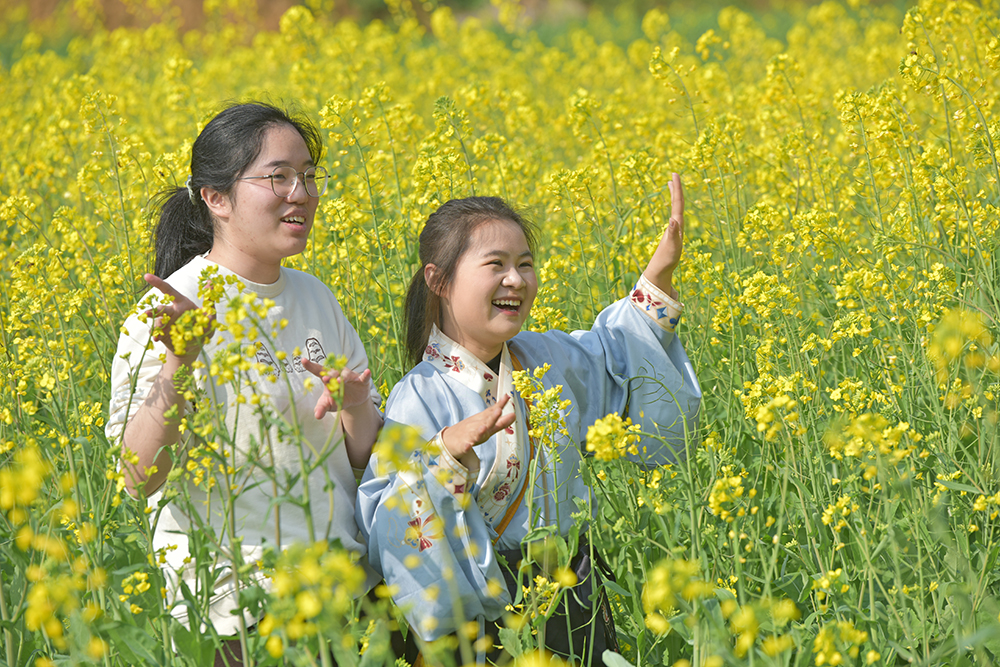 万峰林景区：观花海 逛集市 “暖冬游”持续火爆(图2)