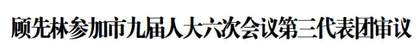 顾先林参加市九届人大六次会议第三代表团审议(图1) 顾先林参加市九届人大六次会议第三代表团审议(图1)