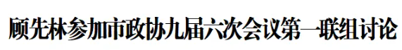 顾先林参加市政协九届六次会议第一联组讨论(图1)