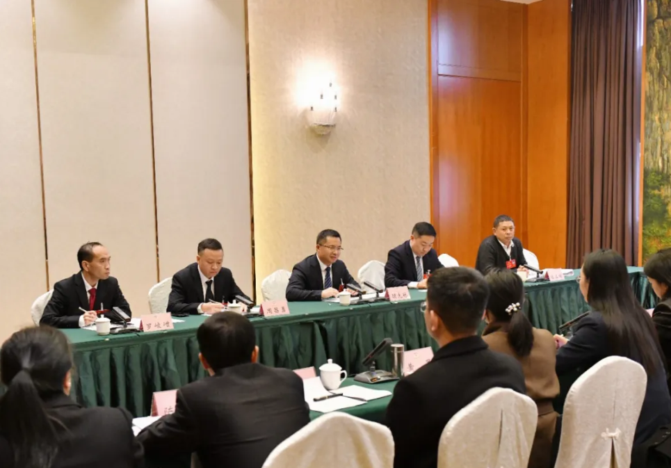 顾先林参加市政协九届六次会议第一联组讨论(图2)