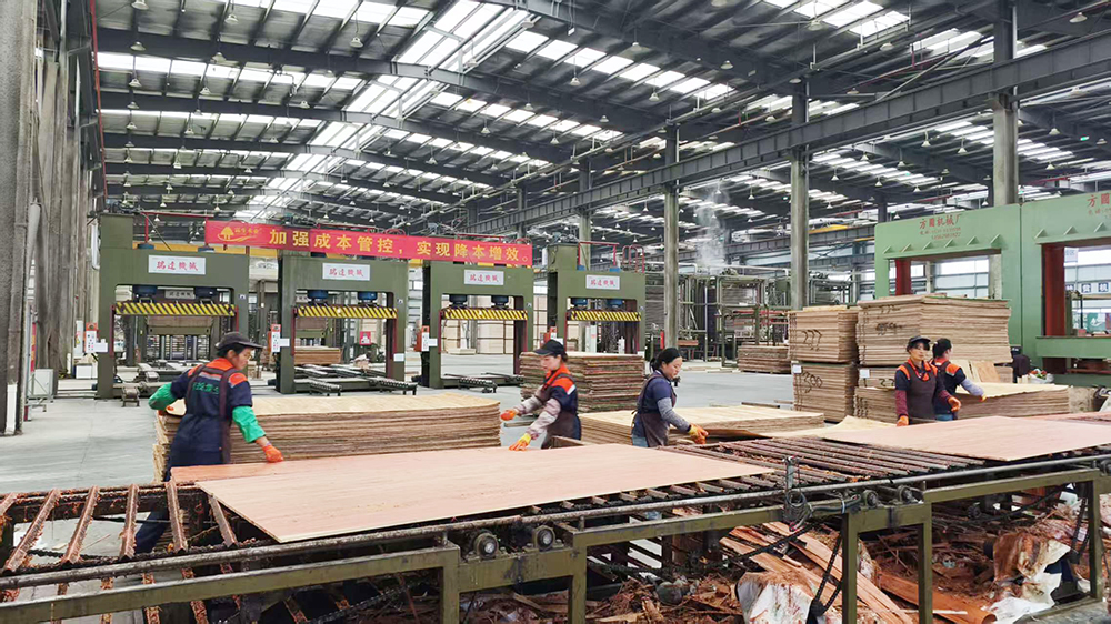 霖生木业：订单满产启新程 奋力冲刺开门红(图1)