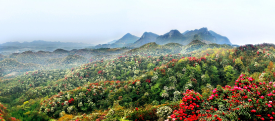 贵州烟火气·黔味中国年丨来贵州过大年，众多特色文旅活动让你一次玩个够(图5)