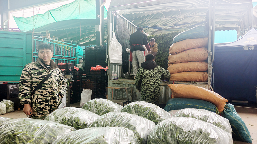 春节“菜篮子”货足价稳 吉祥农产品批发物流城全力保供(图2)