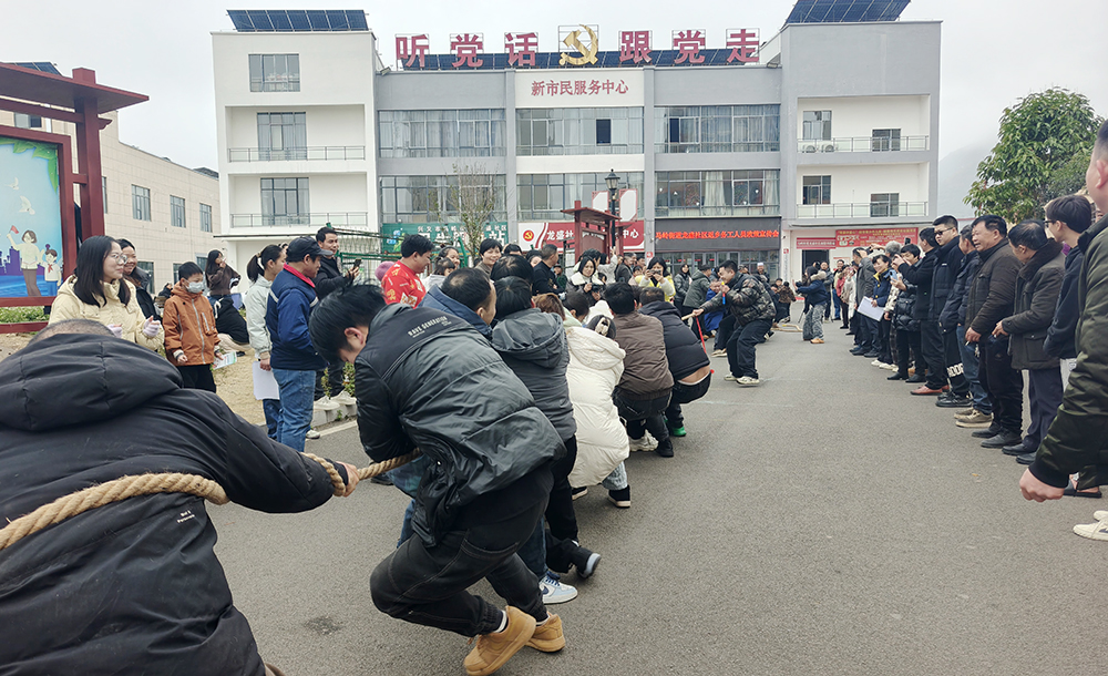 【新春走基层】“马上欢聚 乐享团圆”迎新春文娱活动在龙盛社区举行(图1)