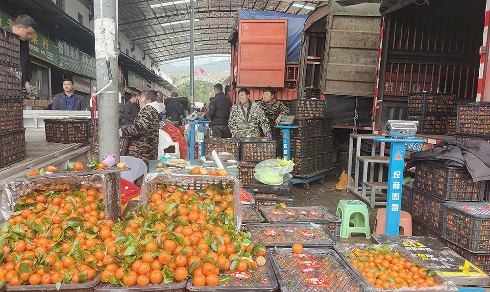 【新春走基层】金亿水果批发市场进入节前销售高峰期(图1)