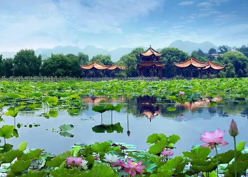 【阳光黔西南·新春纪】贵州烟火气·黔味中国年 || 春节来黔西南，这份“贵州村舞”之春季村舞系列活动指南请收好(图6)