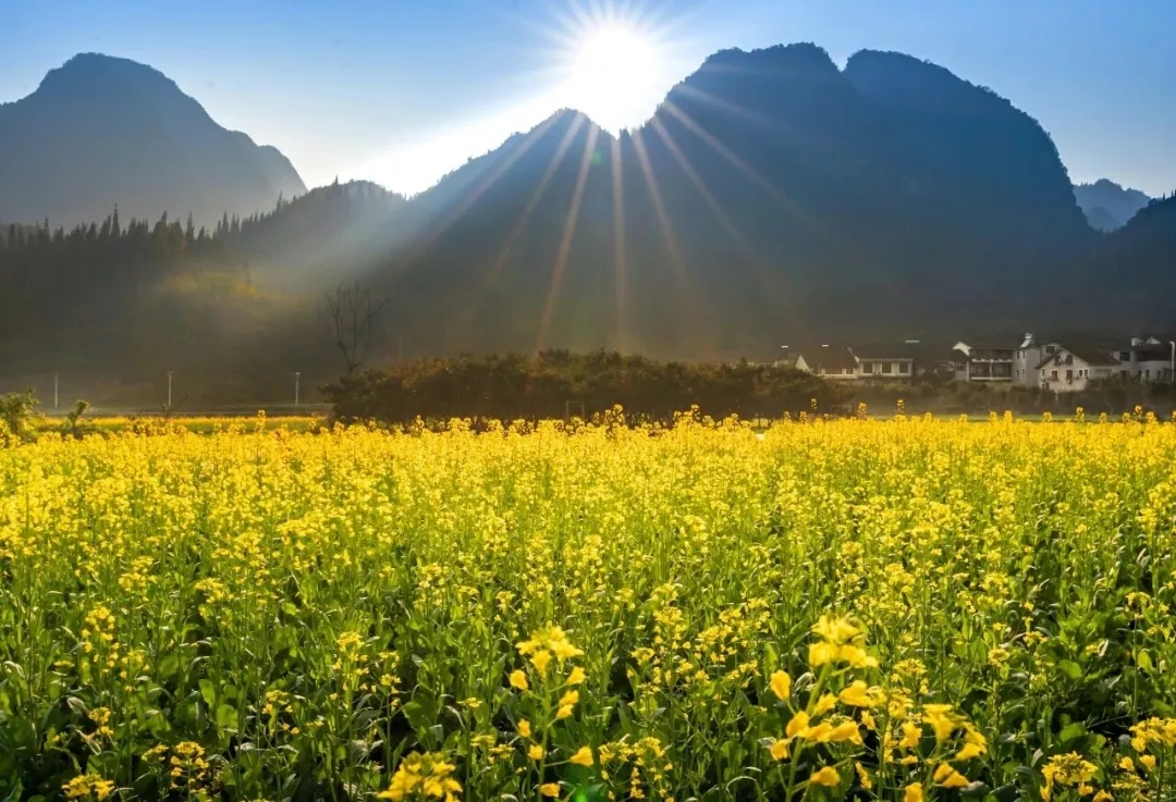 【阳光黔西南·新春纪】贵州烟火气·黔味中国年│黔西南州春节文旅体活动精彩不重样!让你一次玩个够~(图11) 【阳光黔西南·新春纪】贵州烟火气·黔味中国年│黔西南州春节文旅体活动精彩不重样!让你一次玩个够~(图11)