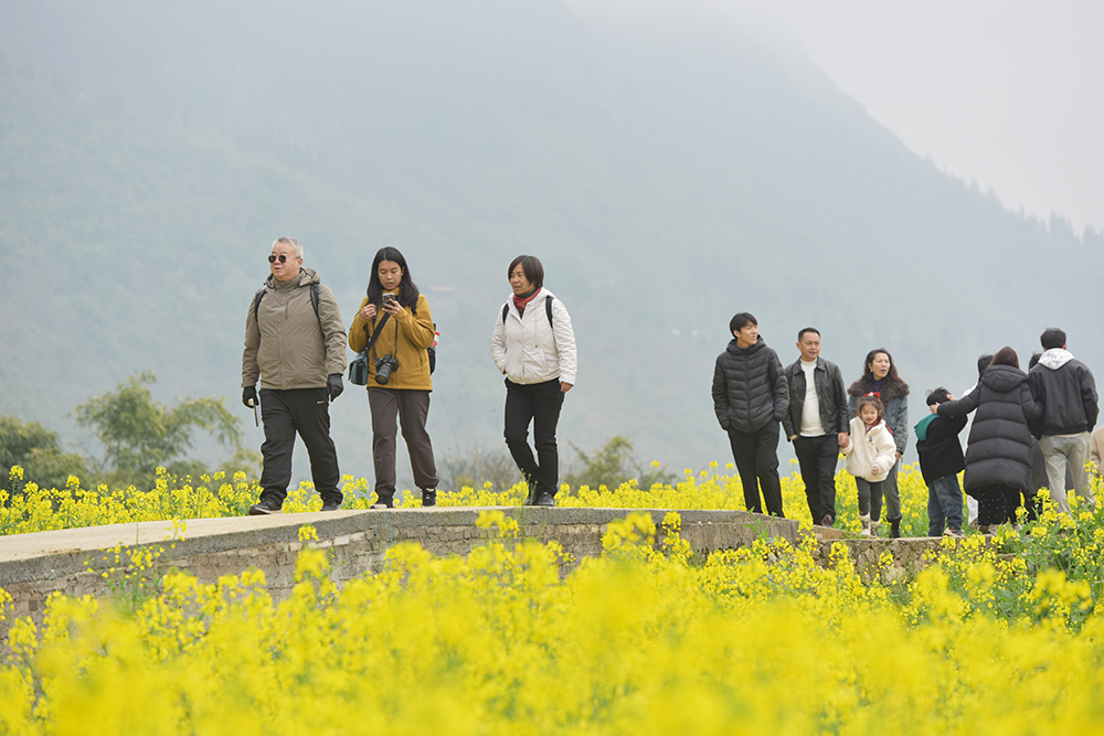 万峰林中寨：热门引流+闲资焕新 激活旅游新动能(图3)