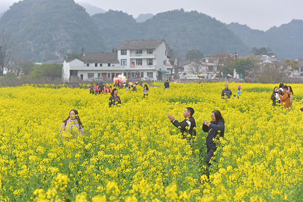 万峰林中寨：热门引流+闲资焕新 激活旅游新动能(图6)