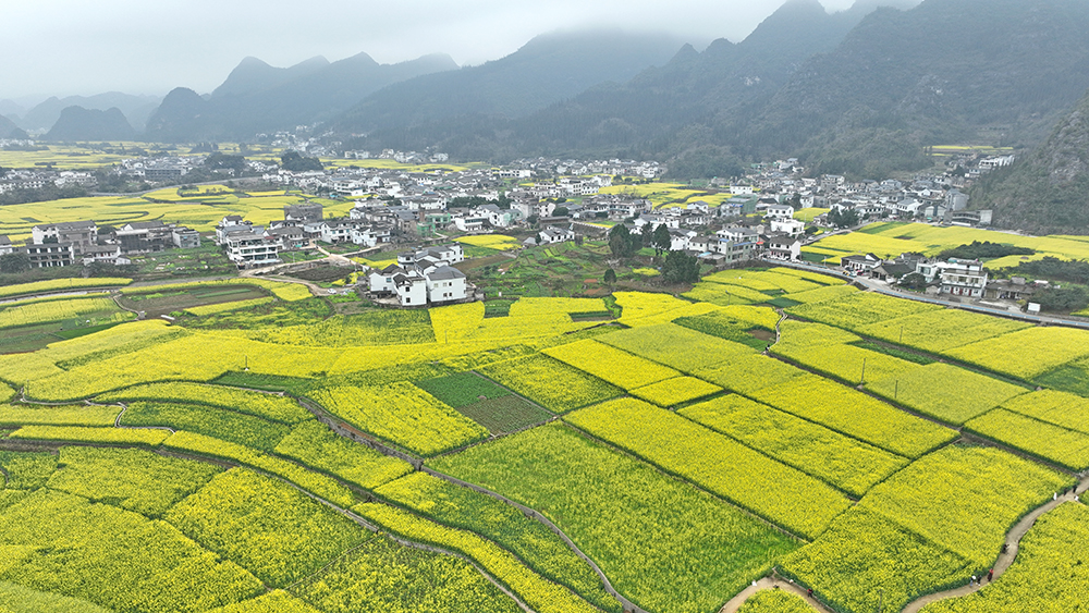 万峰林中寨：热门引流+闲资焕新 激活旅游新动能(图8)