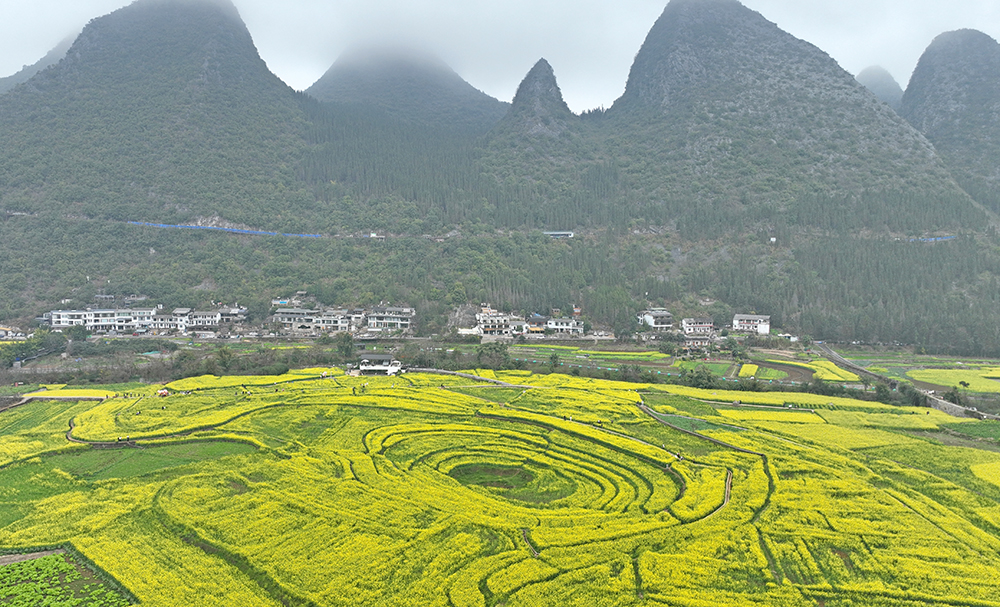 万峰林中寨：热门引流+闲资焕新 激活旅游新动能(图2)