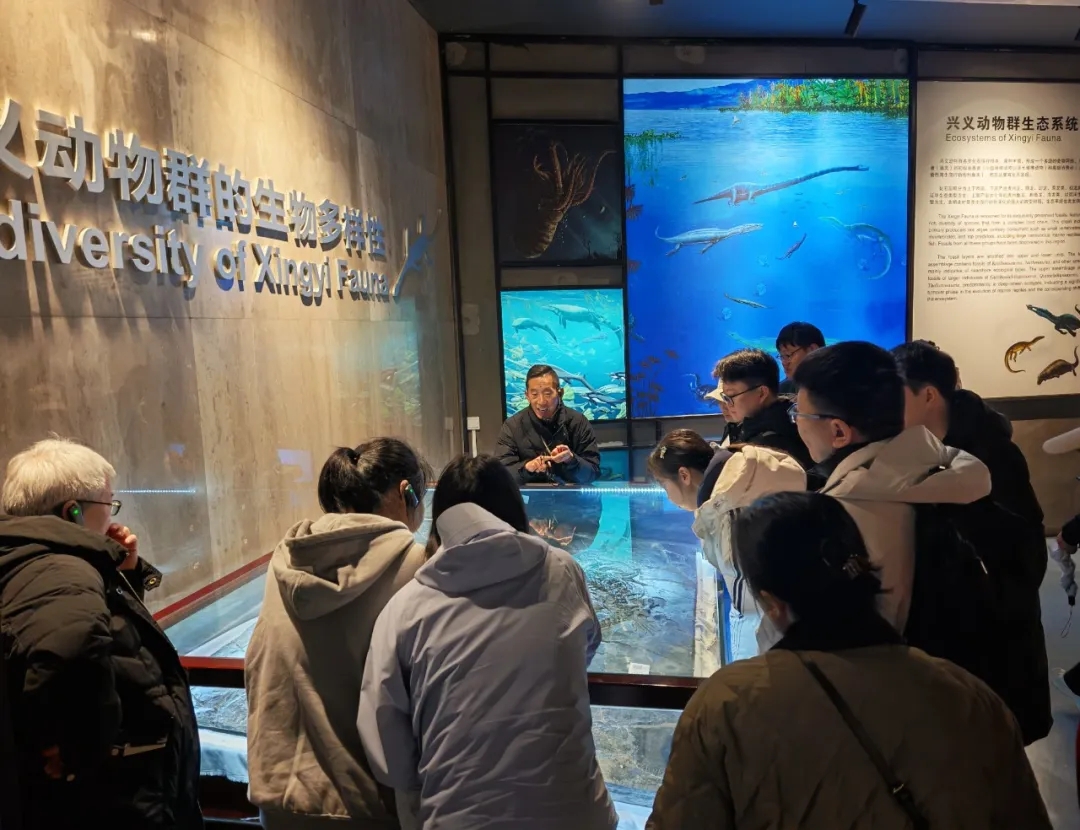 【网络中国节·春节】兴义世界地质公园博物馆：新春活动人气旺 文旅融合活力足(图4)