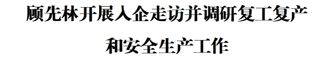 顾先林开展入企走访并调研复工复产和安全生产工作(图1)