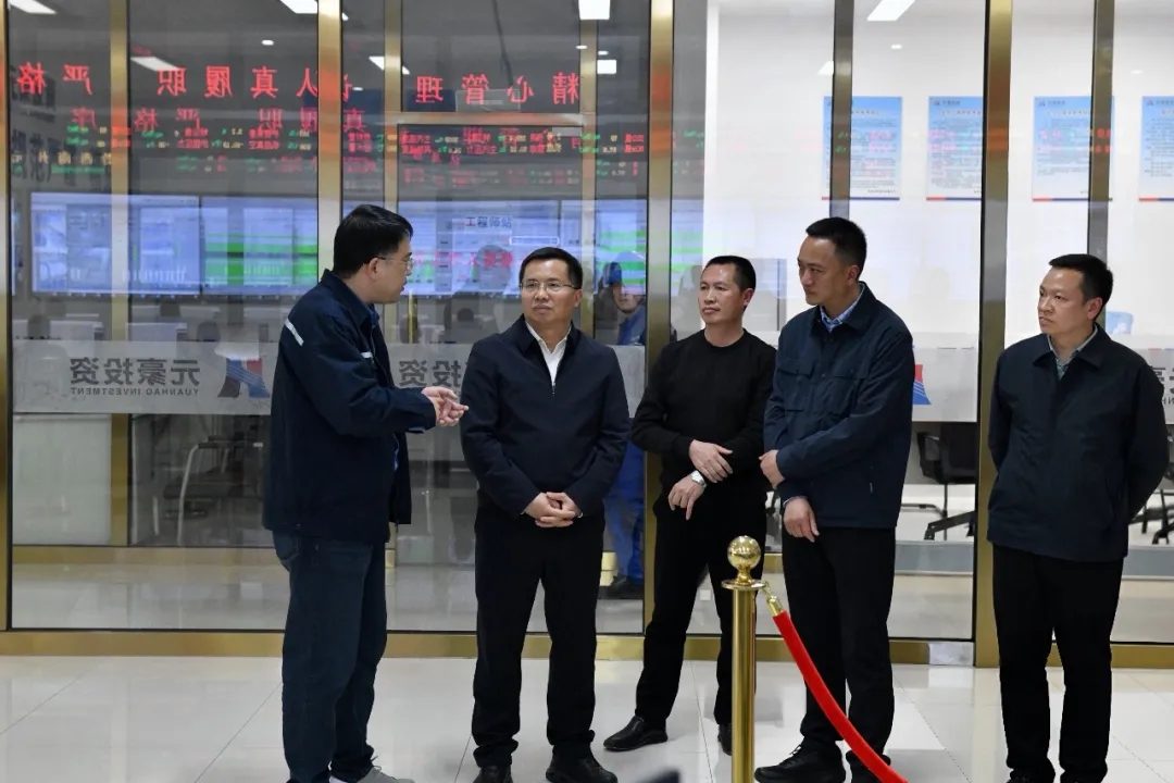 顾先林开展入企走访并调研复工复产和安全生产工作(图5)