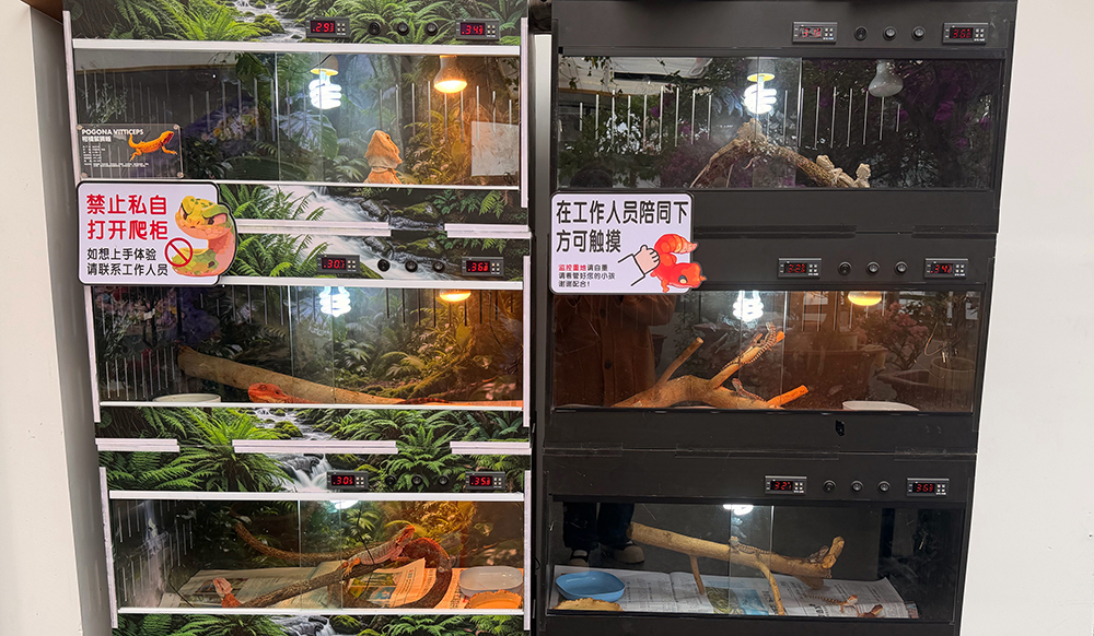农文旅融合再升级 蝶园异宠体验馆落户兴义万峰林(图2)