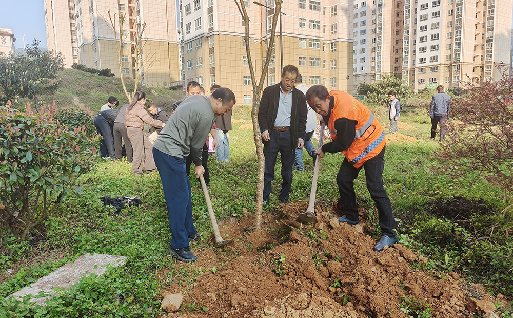 兴义：干群合力添新绿 绘就生态新画卷(图3)