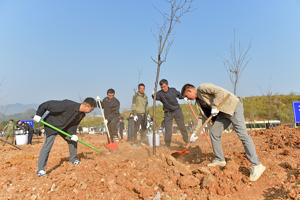 黔西南州开展2026年义务植树活动 1万余人植树5.9万株(图3)