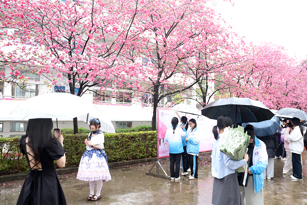 兴义中学举办2026届高三成人礼暨第四届樱花节系列活动(图3)