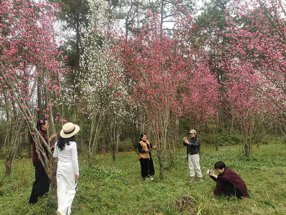 云屯公园：春色满园醉游人 多元业态促“四季热”(图2)