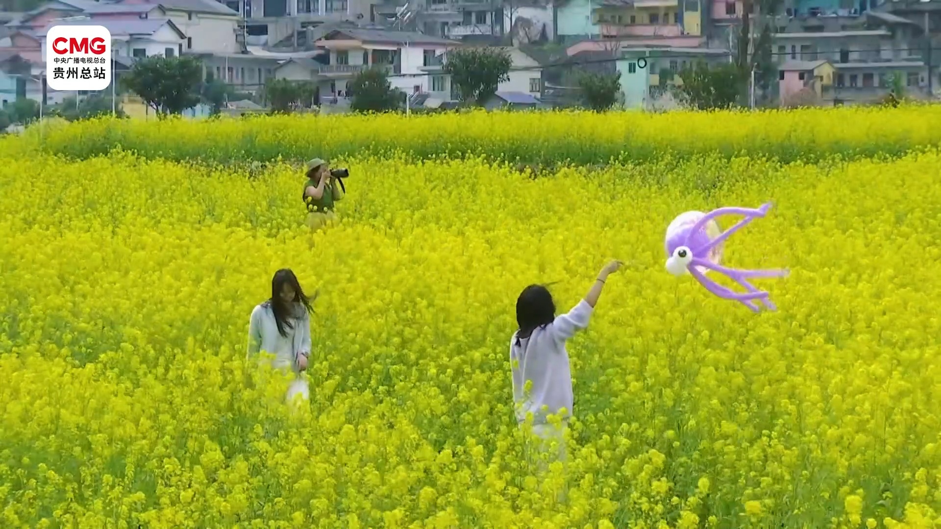 黔·景｜看贵州 春花烂漫入画图(图4)