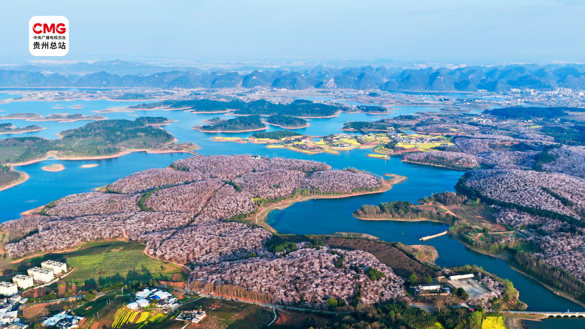 黔·景｜看贵州 春花烂漫入画图(图5)