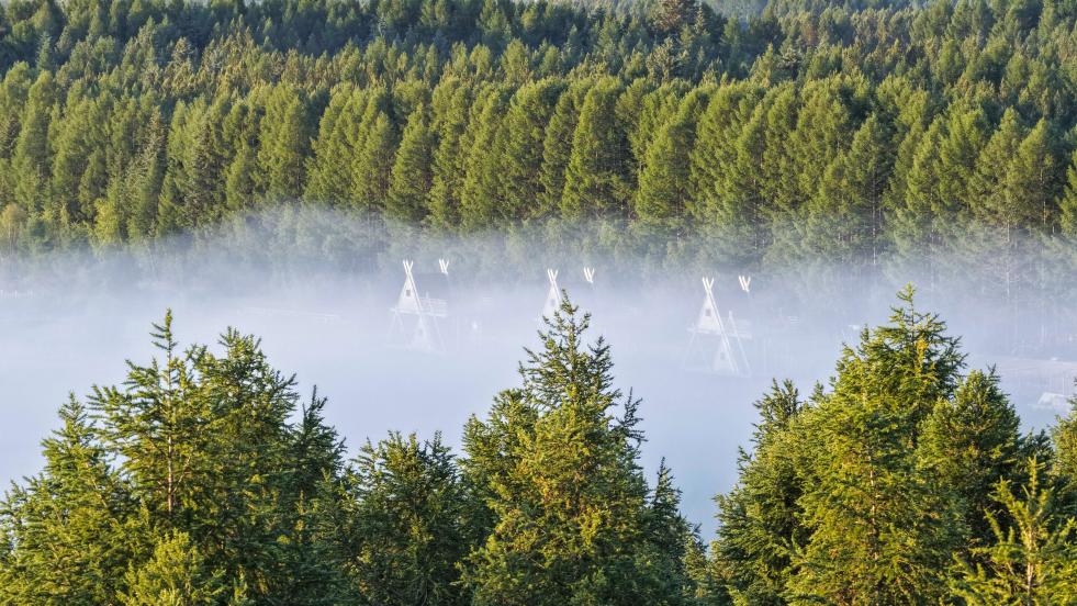 春已至！“植”绿山河(图3)