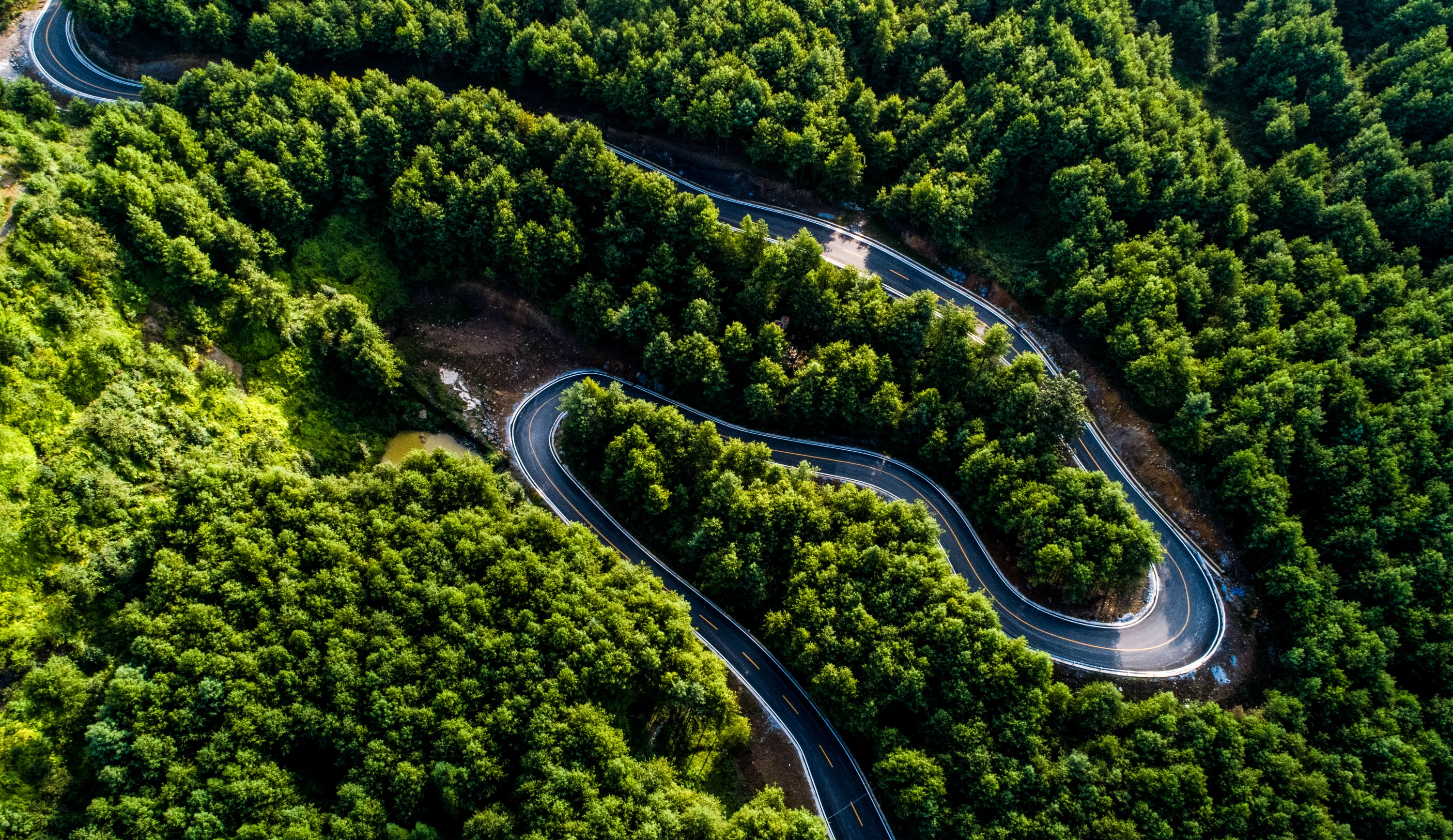 持之以恒绘就黔山秀水，贵州以绿色向未来告白(图5)