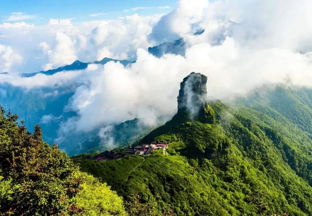 持之以恒绘就黔山秀水，贵州以绿色向未来告白(图9)