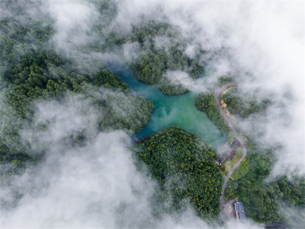持之以恒绘就黔山秀水，贵州以绿色向未来告白(图8)