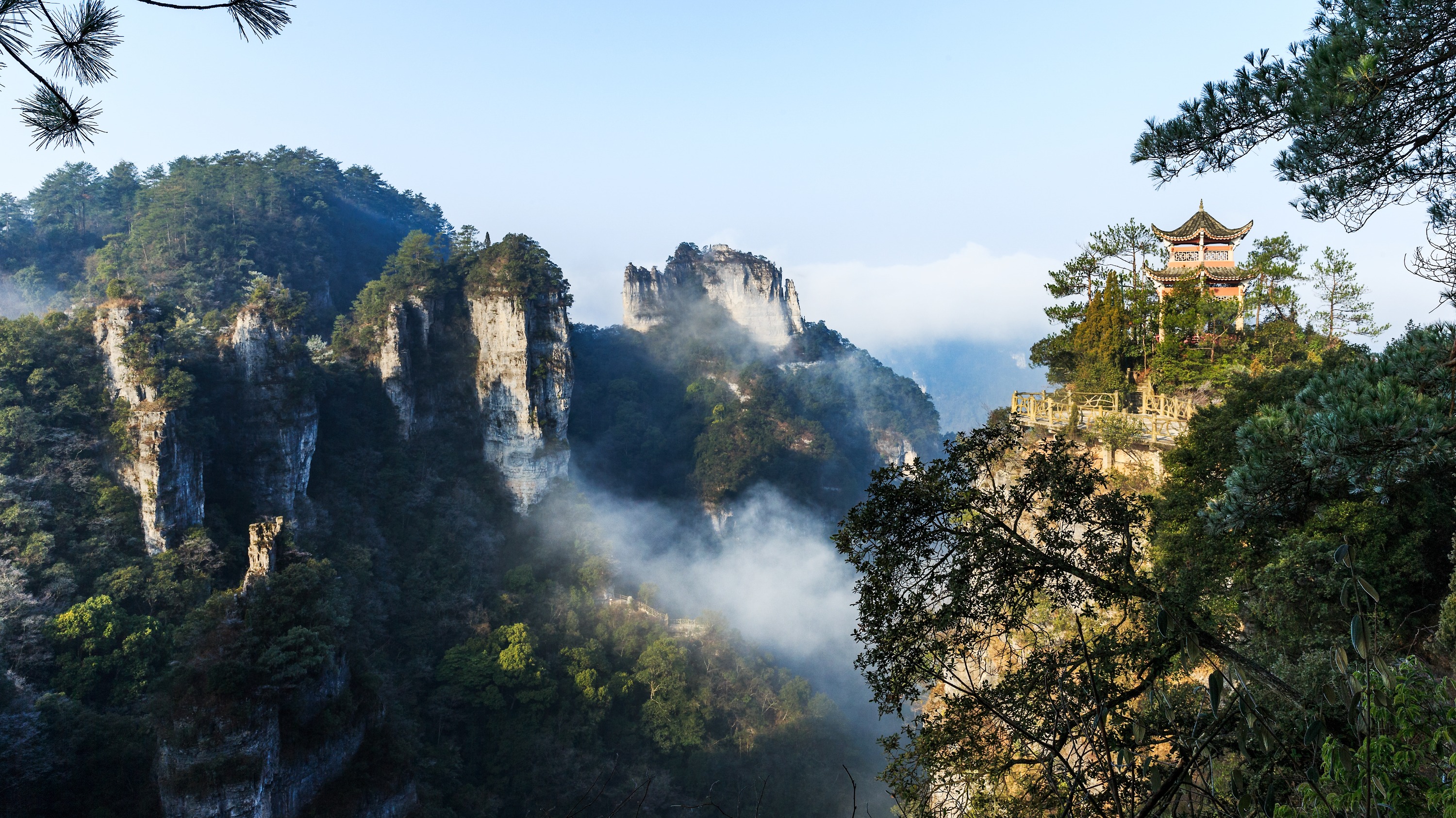持之以恒绘就黔山秀水，贵州以绿色向未来告白(图11)