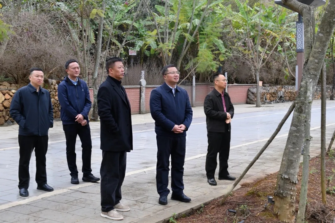 顾先林调研旅游产业发展等工作(图2)