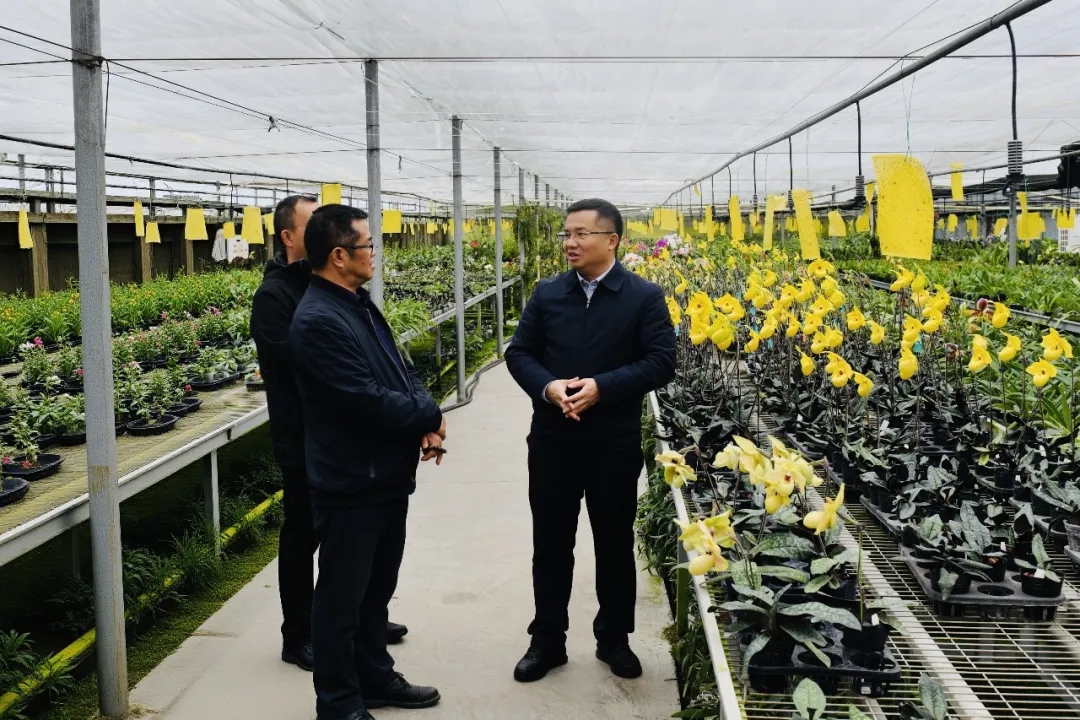 顾先林调研旅游产业发展等工作(图3)