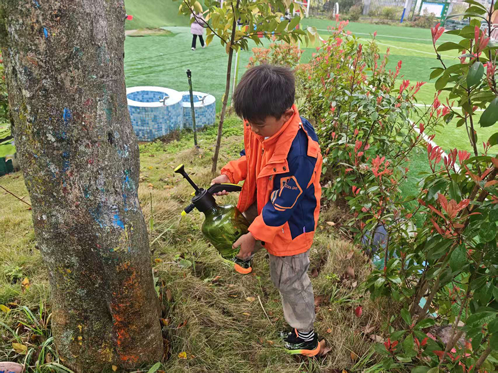 延安路中心幼儿园举行植树活动(图2)
