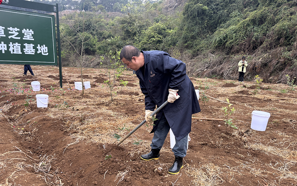 植绿兴产 青山添绿——贵州华弘农业开展植树节主题活动(图2)