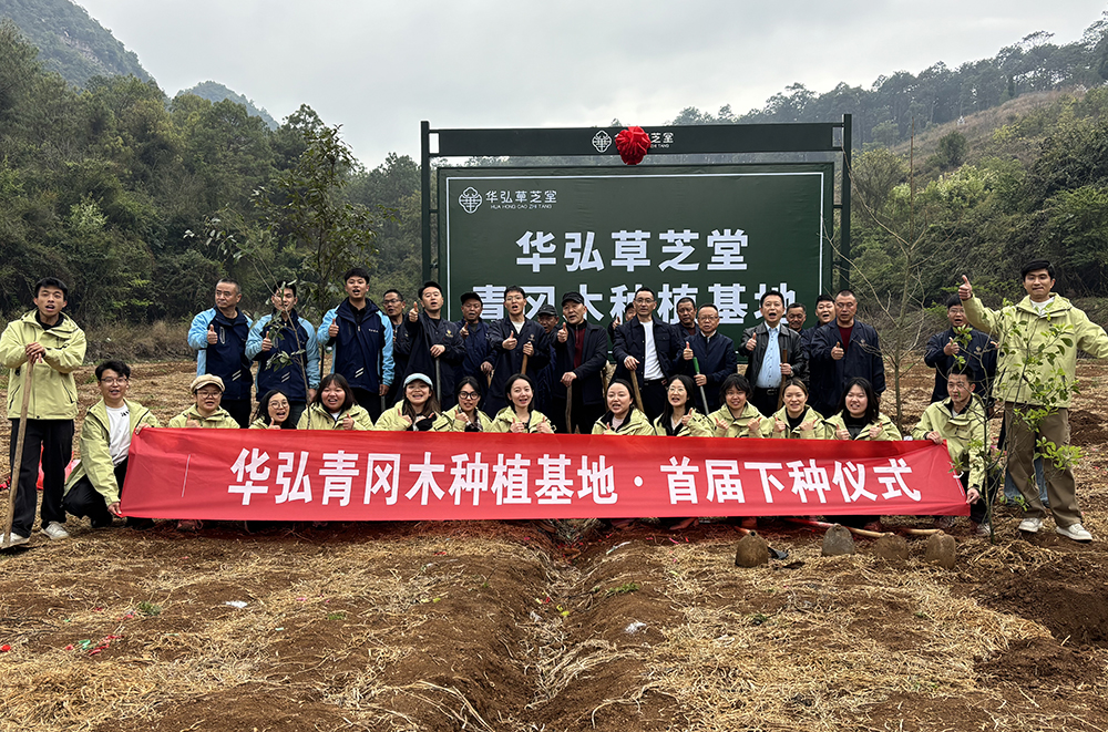 植绿兴产 青山添绿——贵州华弘农业开展植树节主题活动(图3)