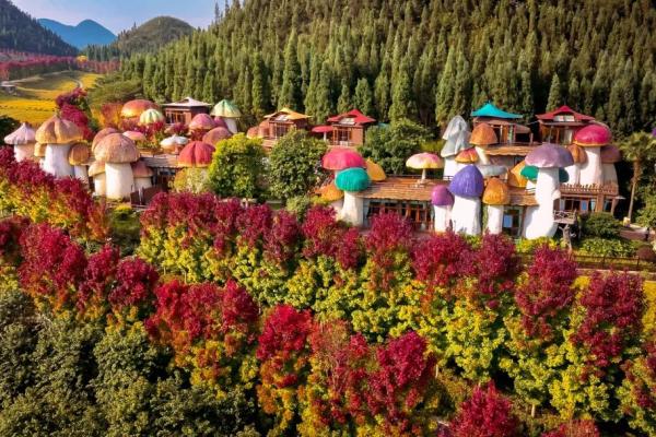 【黔西南州所有A级景区免费！】跑过峰林，再看山河｜凭号码布，解锁兴义“一城八景”(图20)