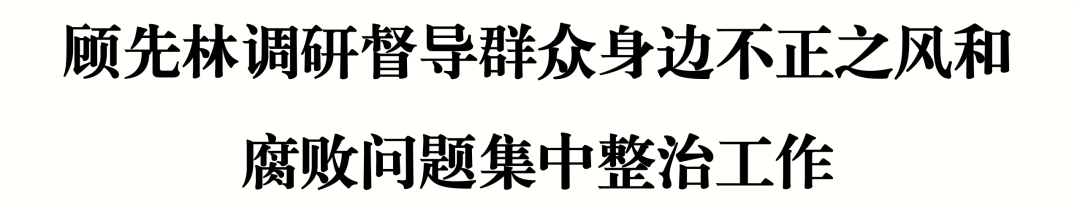 顾先林调研督导群众身边不正之风和腐败问题集中整治工作(图1)