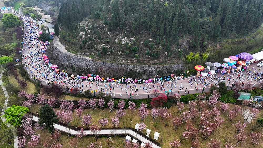 跑进春天里 打卡山水间——2026多彩贵州马拉松超级联赛首站在兴义激情开跑(图2)
