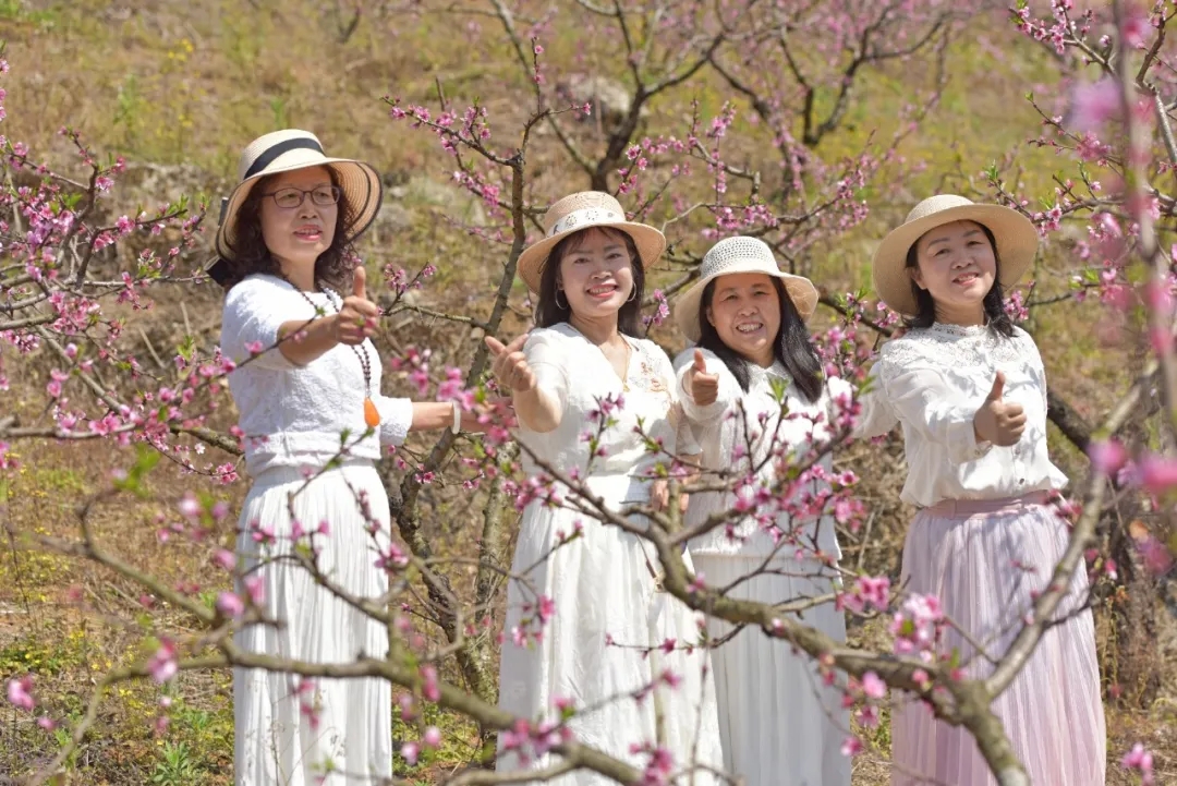 万亩桃花漫山开！兴义桃花谷迎来最美花期(图2)
