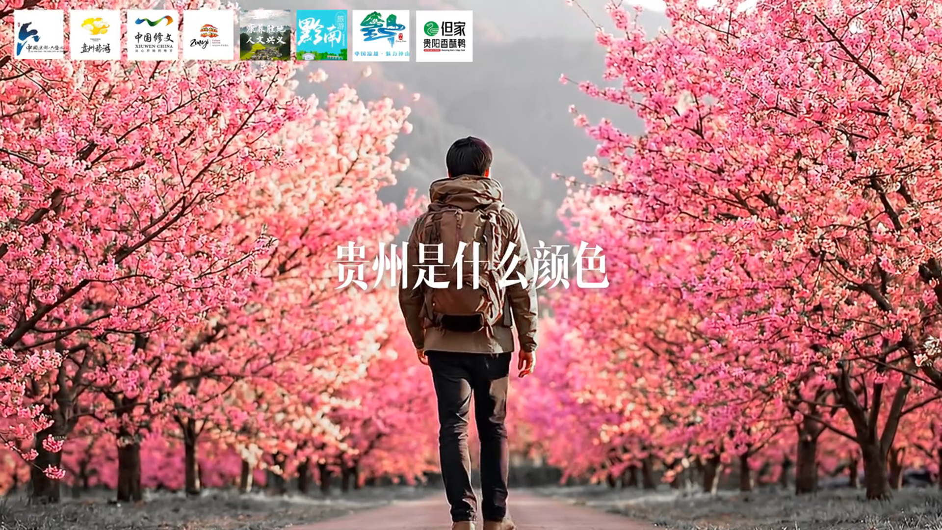 贵州野生创造力又出圈!雪山救狐主创:1个卖酱板鸭的团队,用40元做出50亿流量(图8) 贵州野生创造力又出圈!雪山救狐主创:1个卖酱板鸭的团队,用40元做出50亿流量(图8)