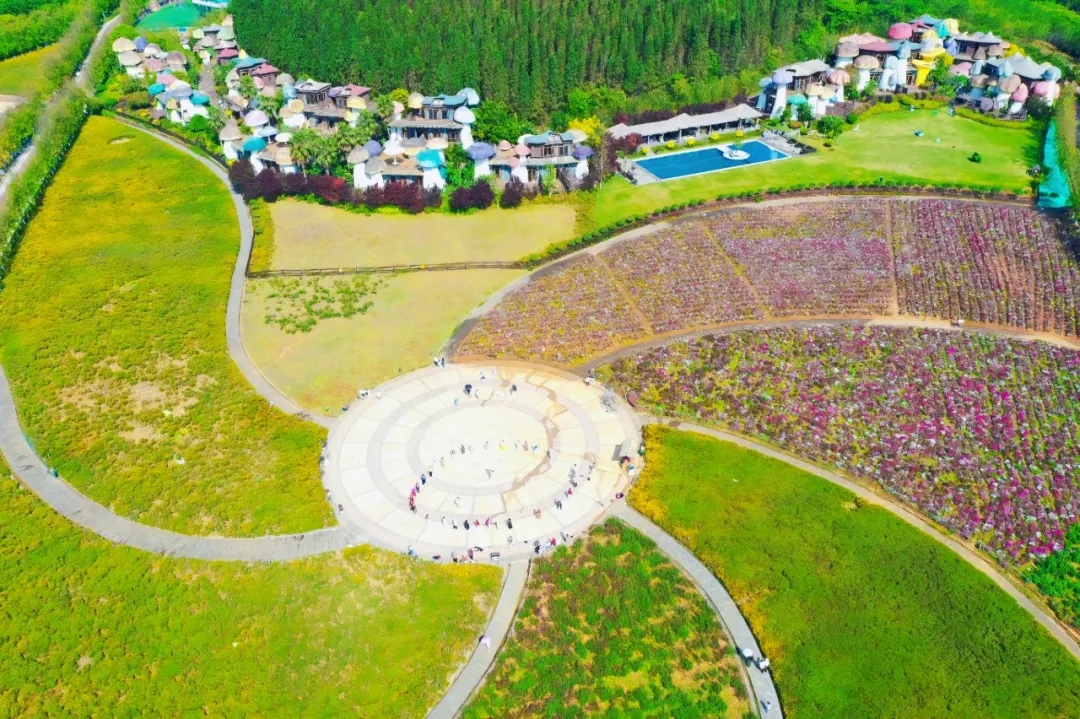 兴义阳光谷旅游度假区：80亩花海惊艳上线 “赏花经济”持续升温(图8)