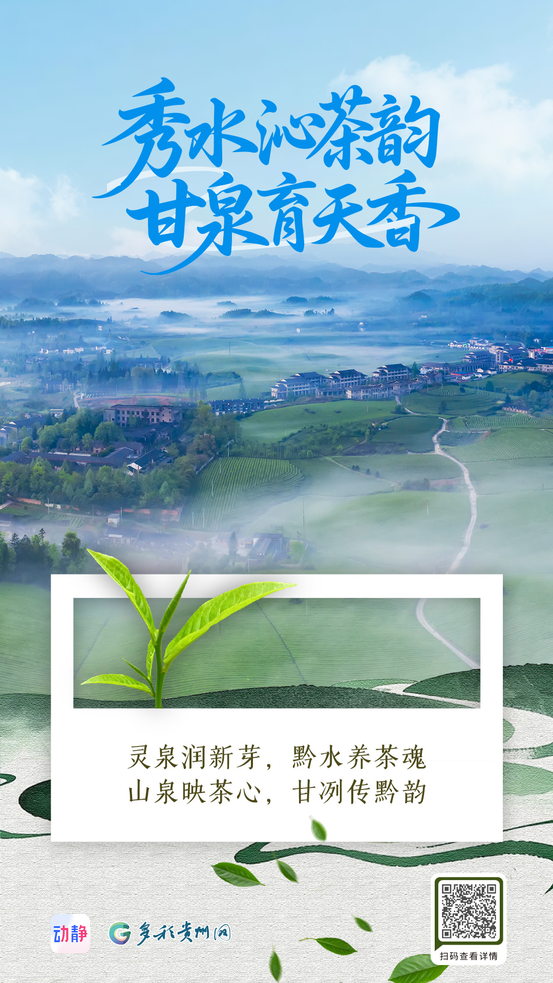 黔茶飘香丨每一杯黔茶，都是流动的山水(图2)