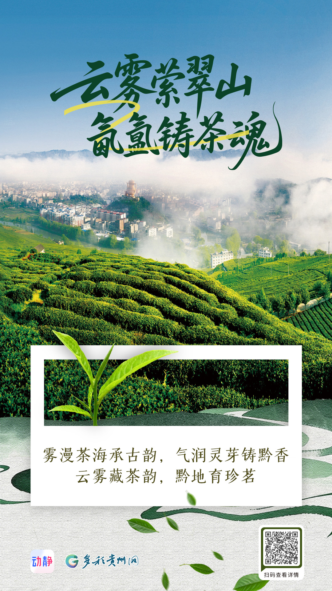 黔茶飘香丨每一杯黔茶，都是流动的山水(图3)