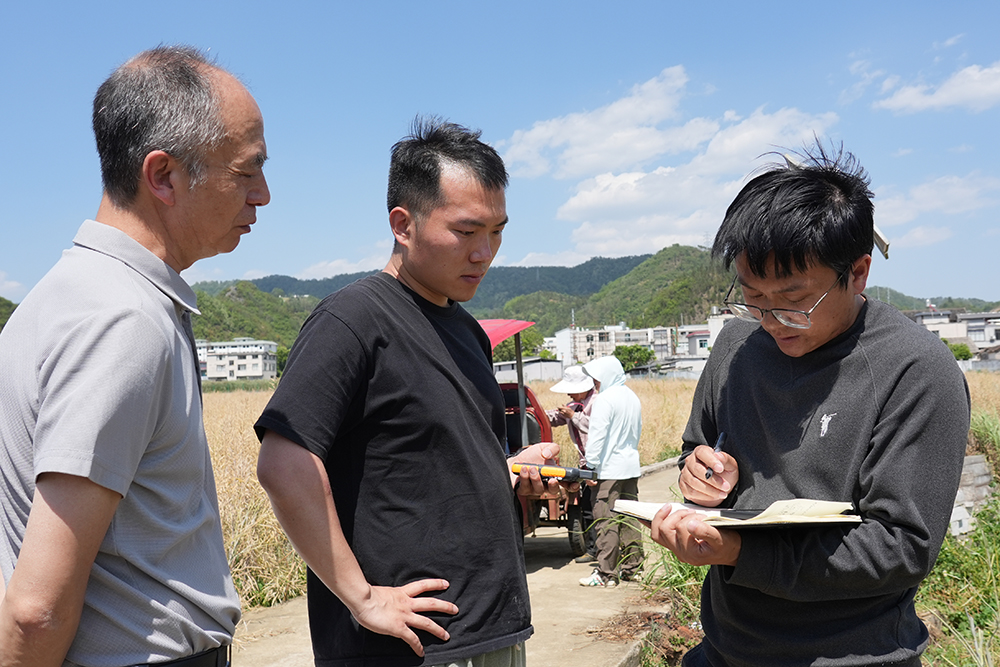 兴义:油菜测产显佳绩 亩产最高144.43公斤(图3) 兴义:油菜测产显佳绩 亩产最高144.43公斤(图3)