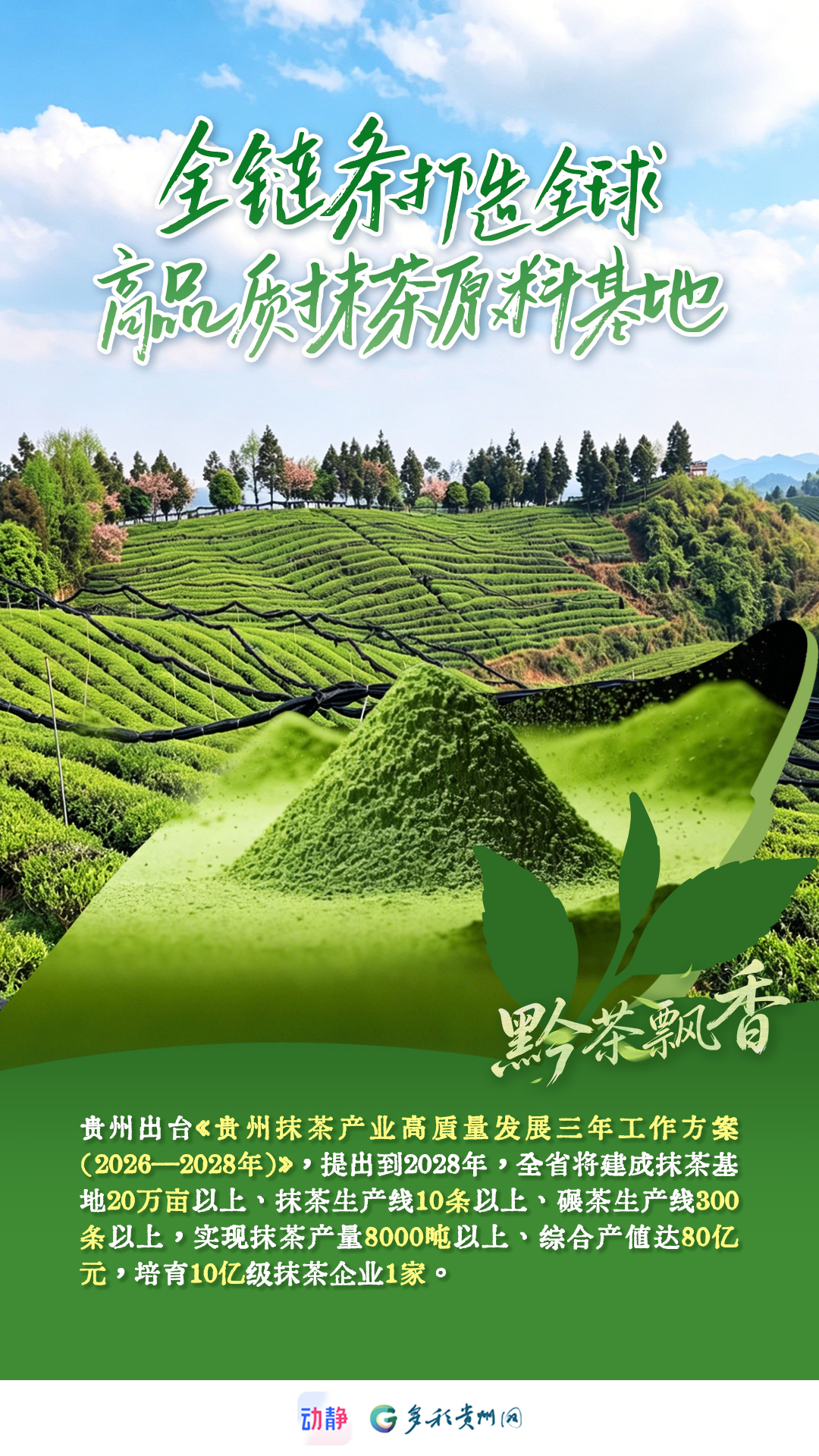 黔茶飘香丨一杯“干净茶”，是天赋，更是坚守标准(图4)