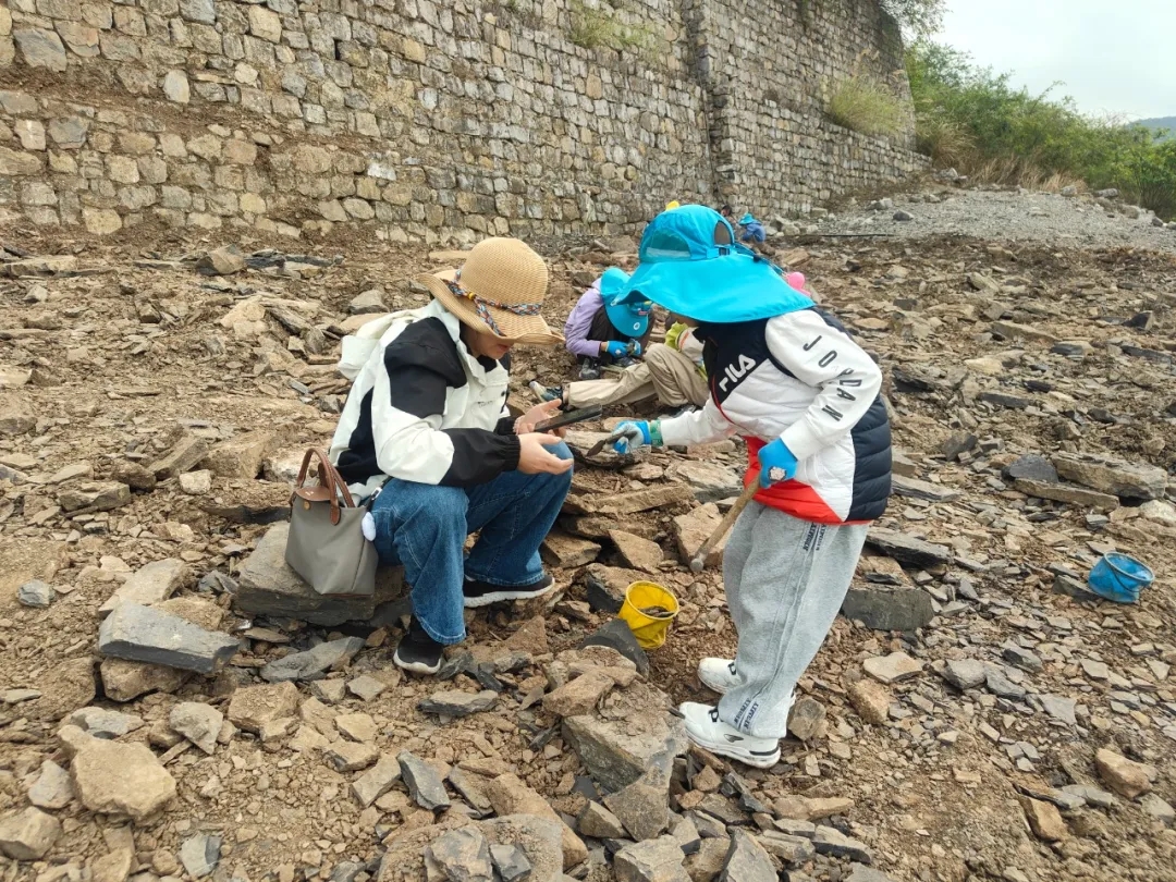 穿越两亿年时光 贵州龙化石原位馆五一科普体验受热捧(图6)
